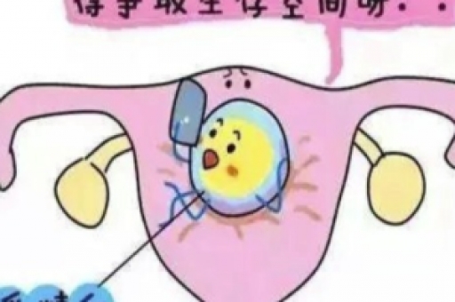 内膜还有这样分类？怎样算好内膜？