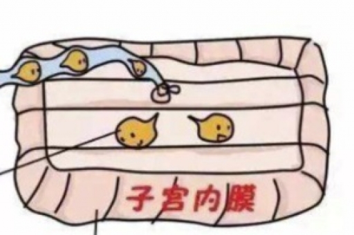这些试验发现你听过吗? 这些试验发现你听过吗?