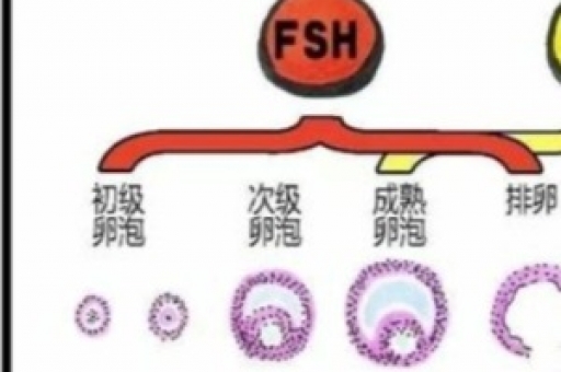 保胎会不会伤害宝宝? 保胎会不会伤害宝宝?